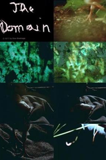 The Domain of the Moment (The Domain of the Moment)