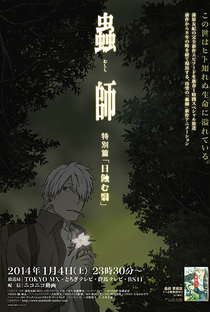 Mushishi Tokubetsu-hen: Hihamukage - Poster / Capa / Cartaz - Oficial 2