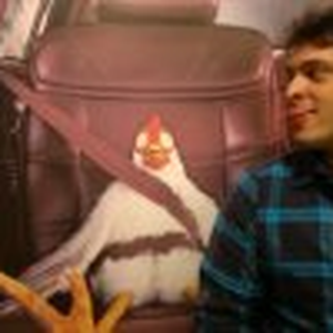Foto de perfil de Pedro Miyake