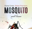Mosquito: Uma Ameaça no Ar