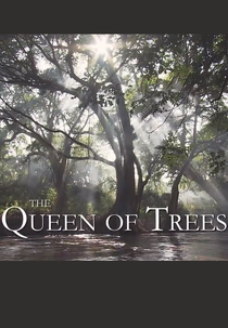 The Queen of Trees (The Queen of Trees)
