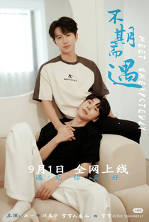 Meet Unexpectedly - Poster / Capa / Cartaz - Oficial 1