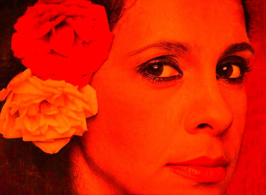Gal Costa - Foto 18
