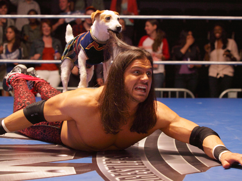 Foto 1 de Russel, O Cãopeão