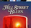 Balada de Hill Street (6ª Temporada)