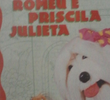 TV Colosso - Castilho Romeu e Priscila Julieta