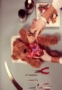 Teddy Has an Operation (Teddy Has an Operation)
