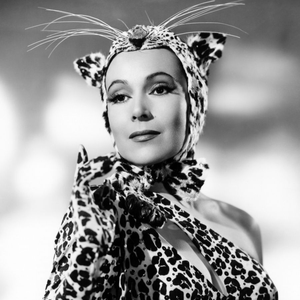 Foto de perfil de Abelardo Arias