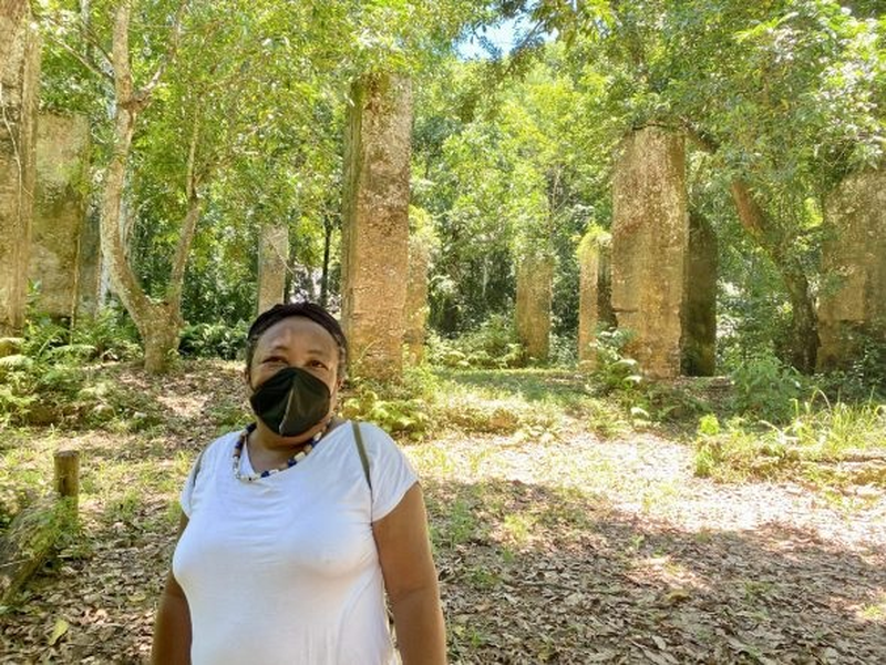 Foto 1 de Projeto Querino (Áudio)