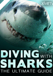 Mergulho com Tubarões: O Guia Final (Diving with Sharks: The Ultimate Guide)