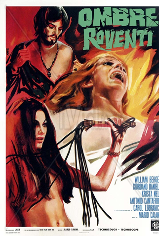 Poster 1 de Filme Sombra da ilusão (1970)