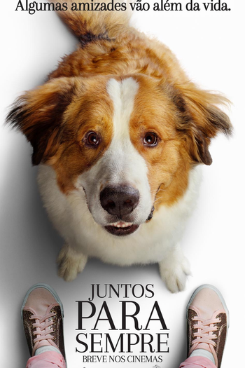  de Filme Juntos Para Sempre (2019)