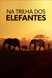 Na Trilha dos Elefantes - Poster / Capa / Cartaz - Oficial 1