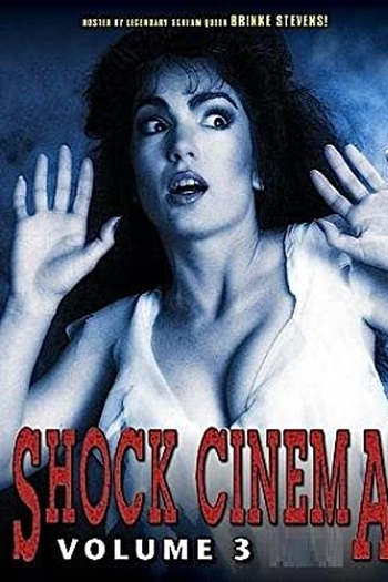  de Filme Shock Cinema Vol. 3 (1991)