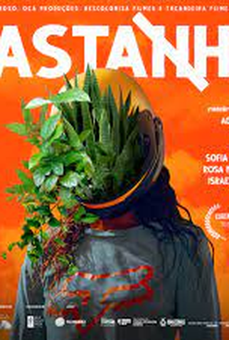 Poster 1 de Curta Castanho (2023)