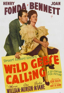 Vidas Sem Rumo (Wild Geese Calling)