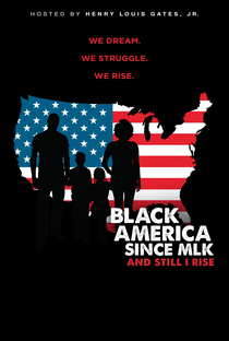 O Movimento Negro Desde Martin Luther King - Poster / Capa / Cartaz - Oficial 1