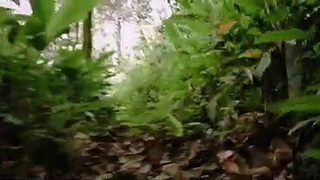 Trailer: GYURI | Trailer Oficial