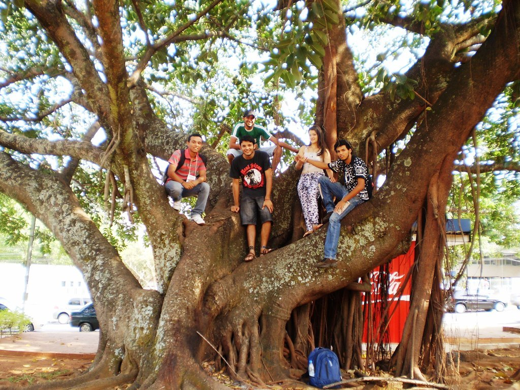 Leovigildo - Foto 5