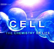 A célula - A química da vida