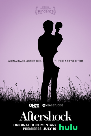 Poster 2 de Filme Aftershock: Um Choque de Realidade (2022)