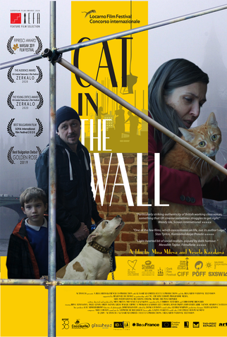 Poster 3 de Filme Gato na Parede (2019)