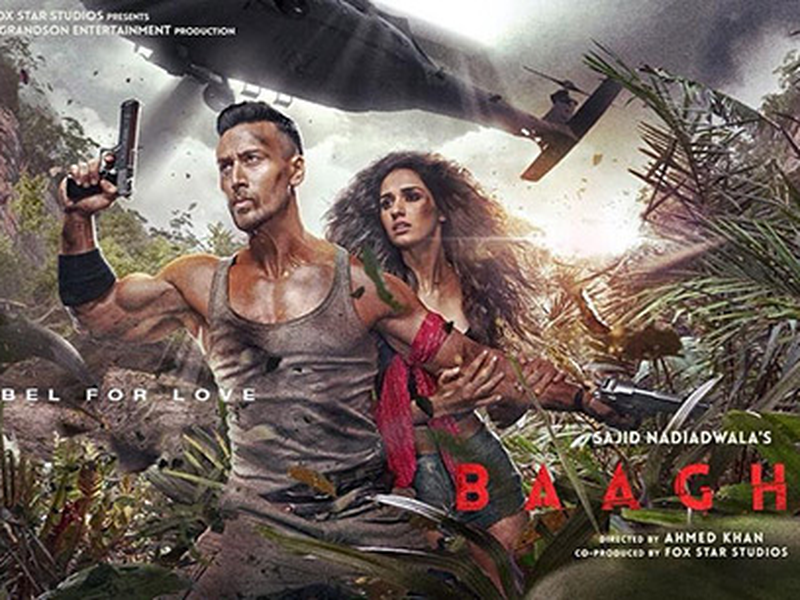 Foto 27 de Baaghi 2