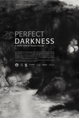 Perfect Darkness (Perfect Darkness)