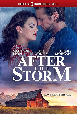 Poster 2 de Filme Depois da Tempestade (2019)