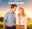 Romance at the Vineyard
