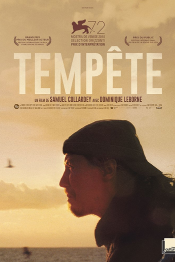 Poster de Filme Tempestade (2015)
