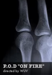 P.O.D.: On Fire (P.O.D. - On Fire)