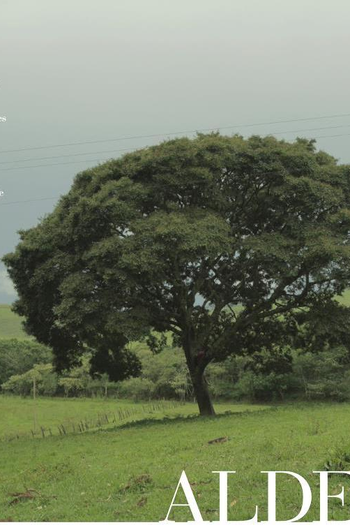 Poster de Curta Aldeia (2012)