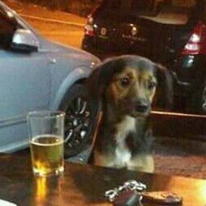 Foto de perfil de Pâmela.