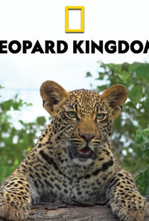 Karula - A Rainha dos Leopardos - Poster / Capa / Cartaz - Oficial 1