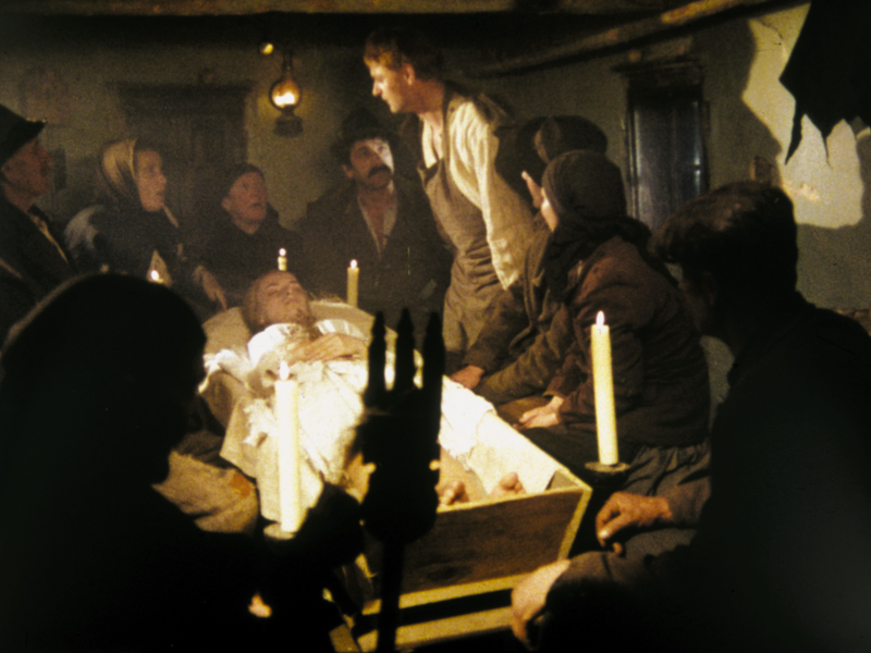 Foto 1 de Breza     (The Birch Tree) 