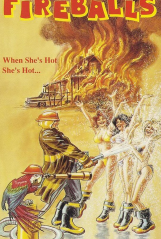 Poster 1 de Filme Fireballs (1989)