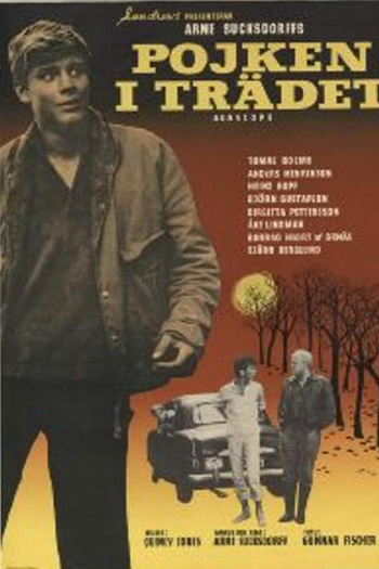  de Filme Pojken i trädet (1961)