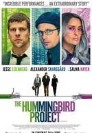 Linha Reta (The Hummingbird Project)