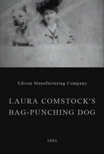 Laura Comstock’s Bag-Punching Dog - Poster / Capa / Cartaz - Oficial 1