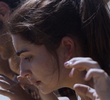 פרק 8