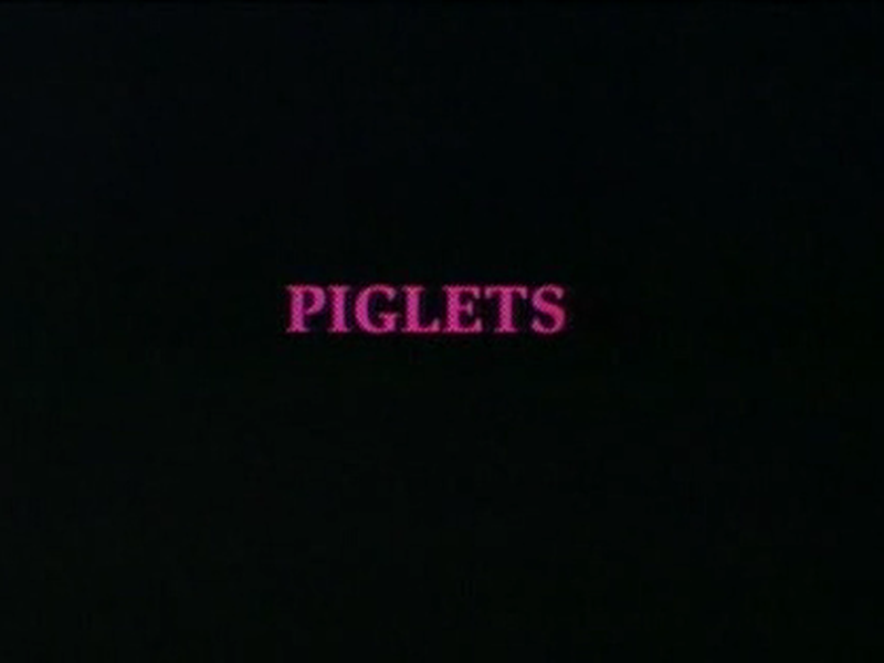 Foto 1 de Piglets