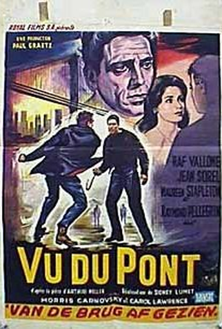 Poster 1 de Filme O Panorama Visto da Ponte (1962)