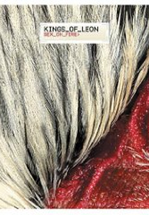 Kings of Leon: Sex on Fire (Kings of Leon: Sex on Fire)