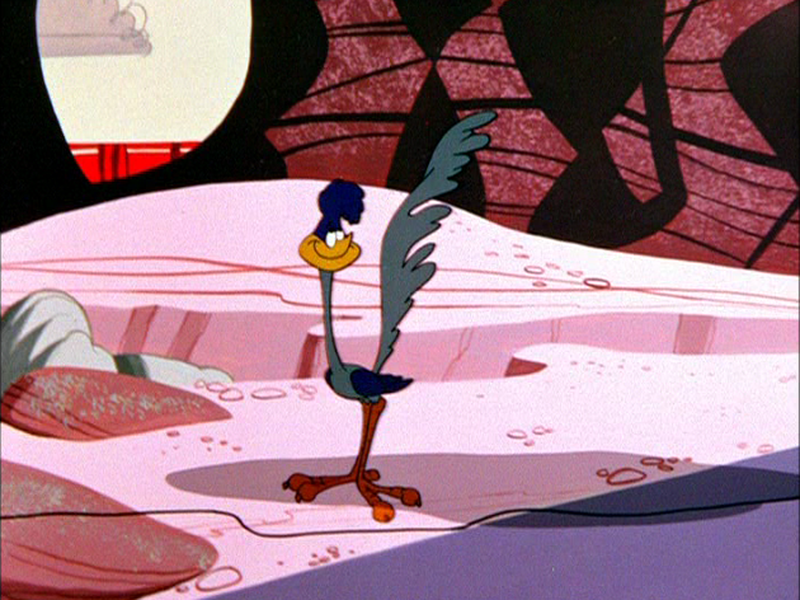 Foto 5 de Coyote Azarado