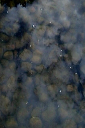 Poster de Curta Drops on Marble (2003)