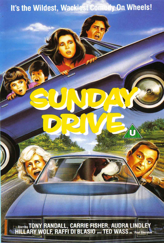 Poster 1 de Filme O Passeio de Domingo (1986)