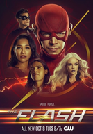 The Flash (6ª Temporada) (The Flash (Season 6))