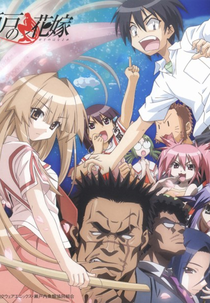 Seto no Hanayome (Seto no Hanayome)