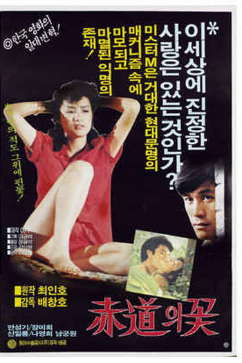 Poster de Filme Flor no Equador (1983)